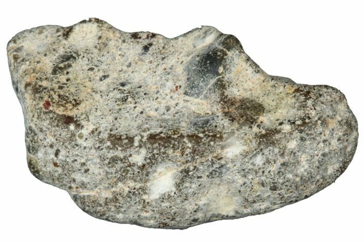 Lunar Meteorite ( g) - NWA #303020